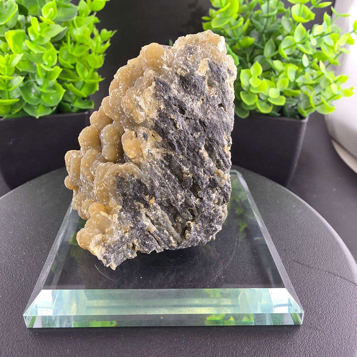 Smithsonite Specimen from Ojuela Mine