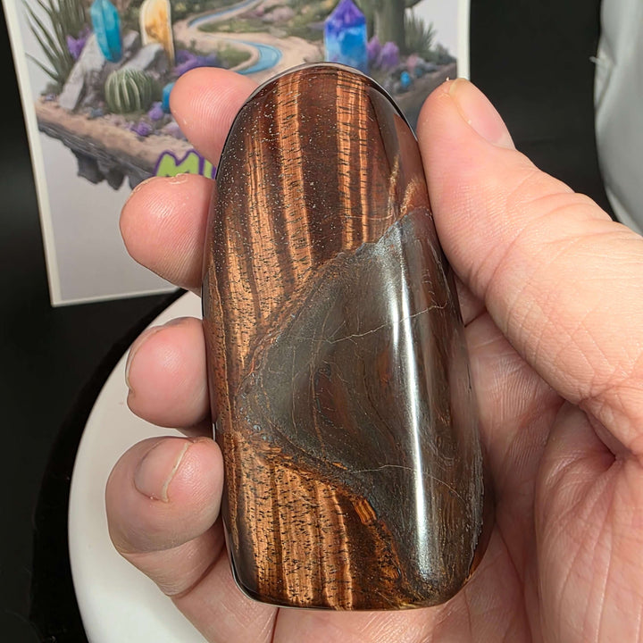 Polished Red Tiger's Eye freeform stone in hand, showcasing distinct reddish-brown colors and natural patterns.