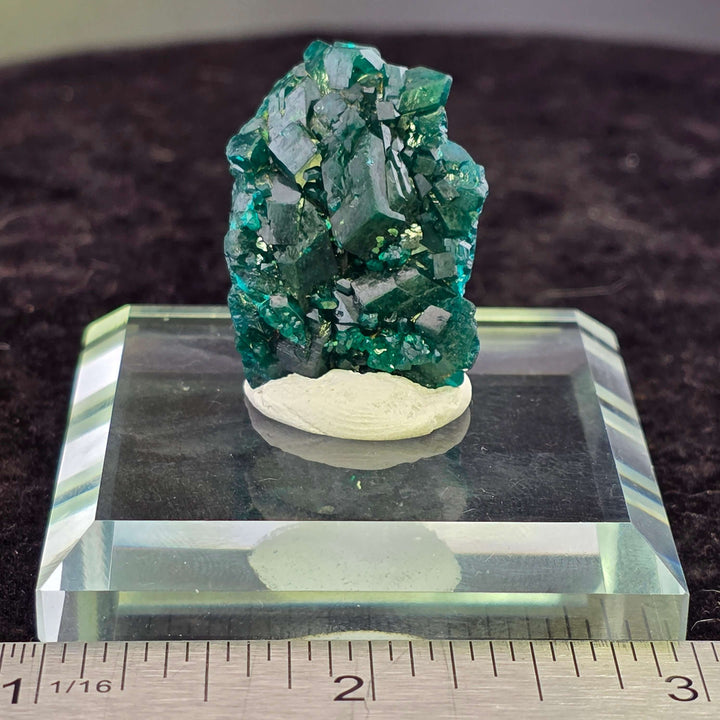 Stunning Dioptase specimen from Congo, featuring deep emerald green crystals with sharp luster on a display base.