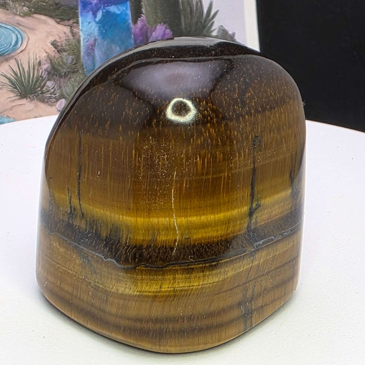 Polished Tiger's Eye freeform showcasing its golden chatoyancy and smooth surface on display.