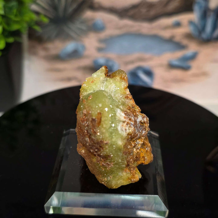 Vibrant Adamite Specimen from Ojuéla Mine exhibiting glowing green crystal formations.