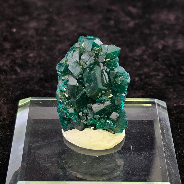 Striking green Dioptase specimen from the Congo with well-formed crystals and good luster on a display base.