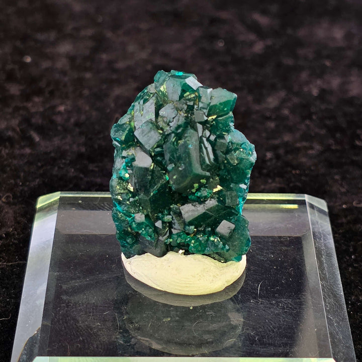 Striking green Dioptase specimen from the Congo with well-formed crystals and good luster on a display base.