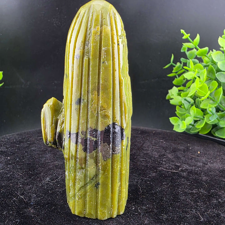 Saguaro Cactus Carving from Peru