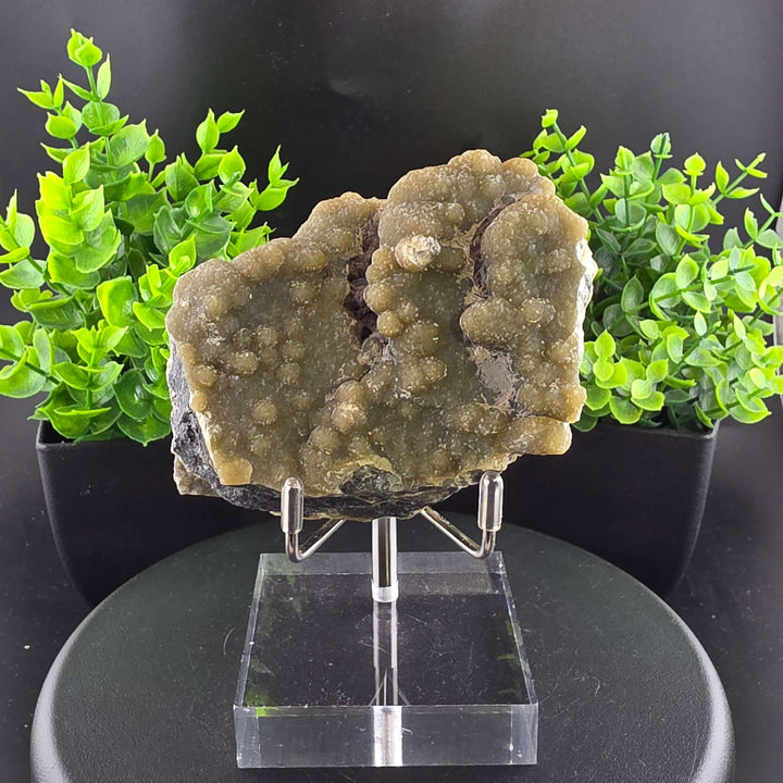 Smithsonite Specimen from Ojuela Mine
