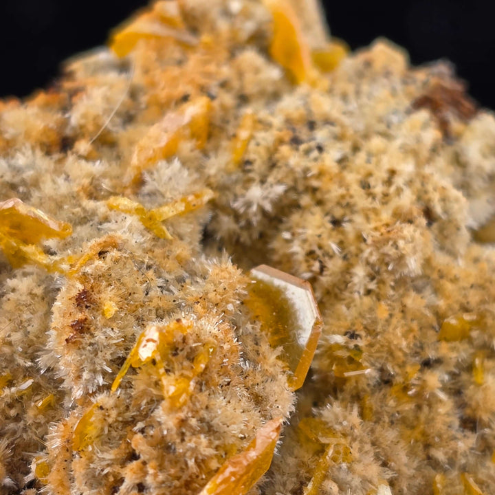 Close-up of vibrant Wulfenite crystals from the Erupción-Ahumada Mine, showcasing unique tetragonal formation.