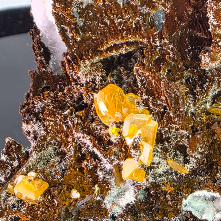 Wulfenite - Erupción-Ahumada Mine, Mexico
