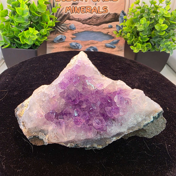 Experience the magic of nature with our exquisite Amethyst Geode Cluster! This stunning piece boasts a captivating array of extremely sparkly, brilliant clear purple crystals that shimmer with every turn. Perfect as a dazzling display piece for your home