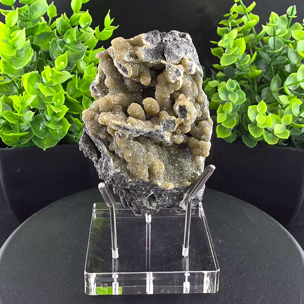 Smithsonite Specimen from Ojuela Mine