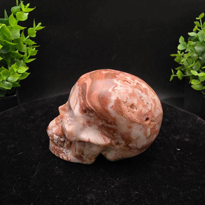 Amber Calcite Skull Carvings - 3 Inch - Stunning hand-carved skulls showcasing warm honey and caramel colors.