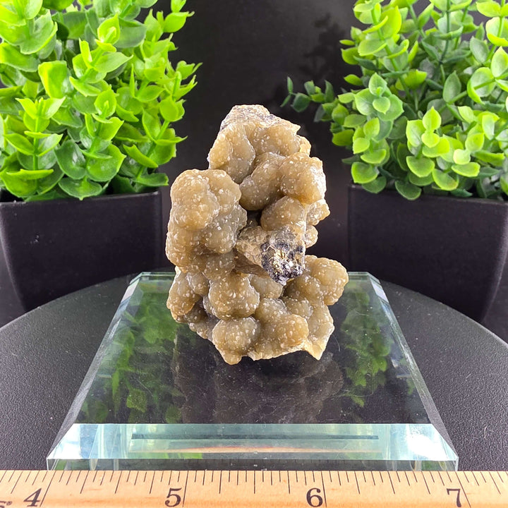 Smithsonite Specimen from Ojuela Mine