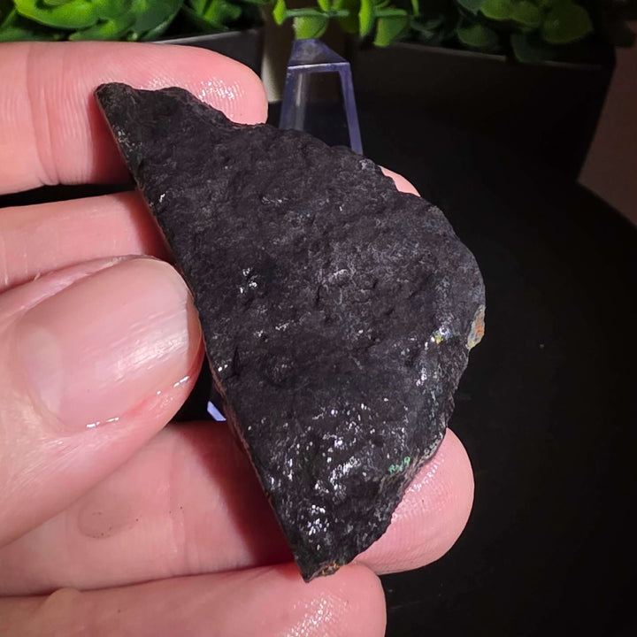 Andamooka Matrix Opal Slab Slice showcasing vibrant colors and natural matrix texture in wet condition