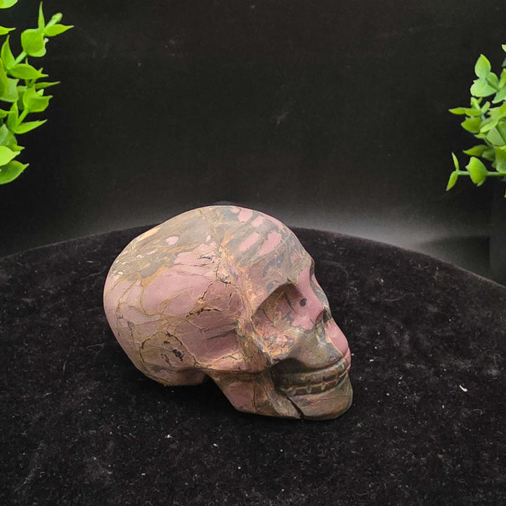 Cherry Creek Jasper skull carving - 2.5 Inch showcasing natural textures and earthy colors with unique patterns.