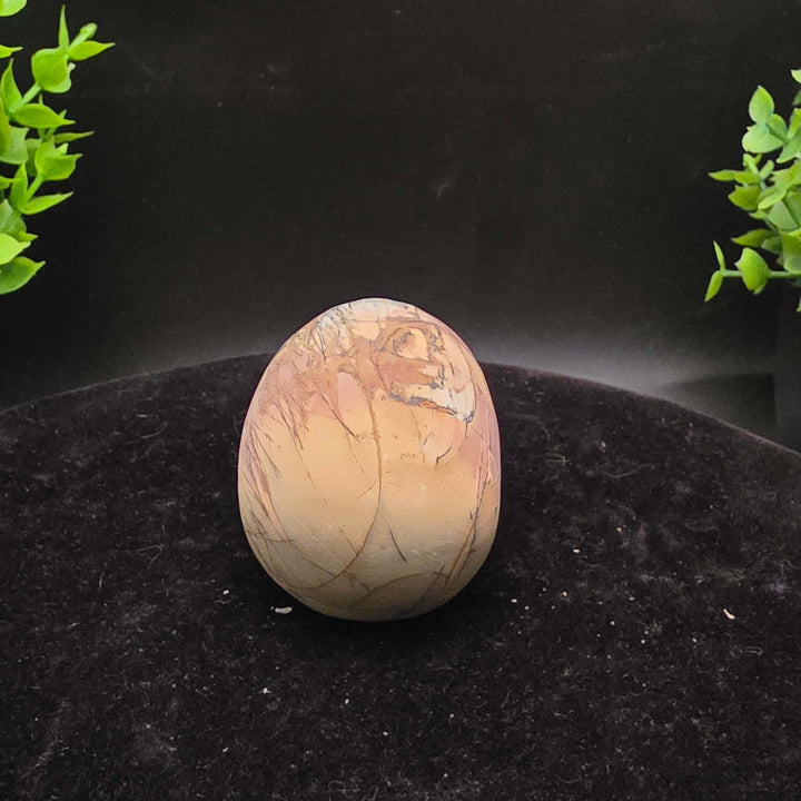 Cherry Creek Jasper skull carving - 2.5 Inch showcasing natural textures and earthy colors with unique patterns.