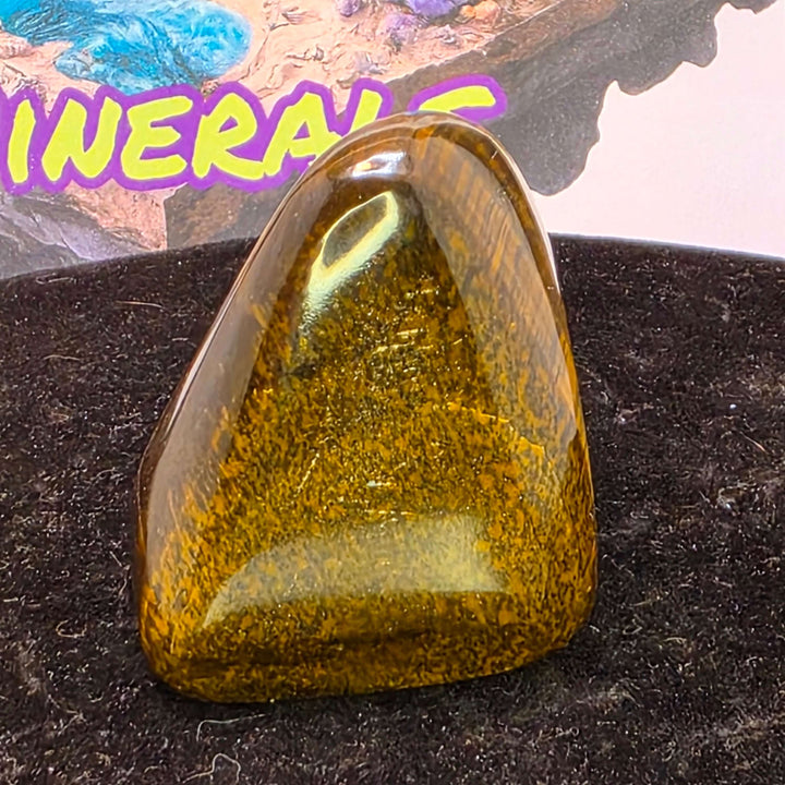 Polished Tiger's Eye freeform with golden color and chatoyancy effect glowing in the light.