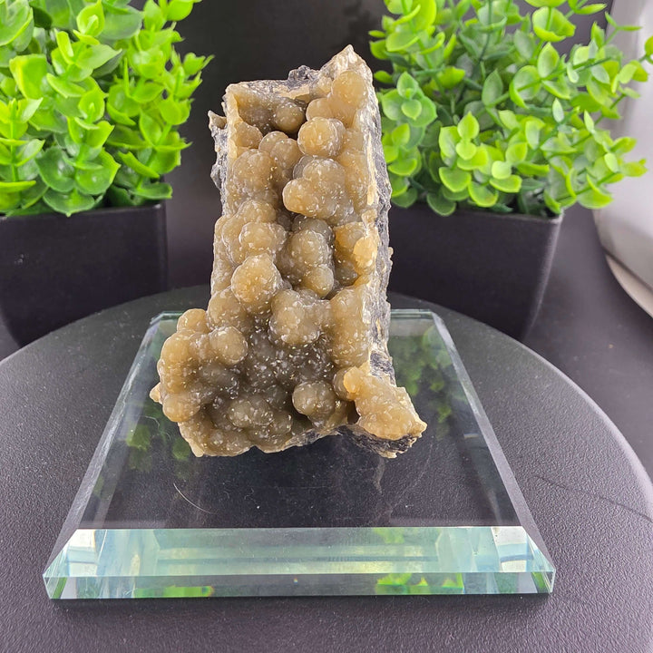 Smithsonite Specimen from Ojuela Mine