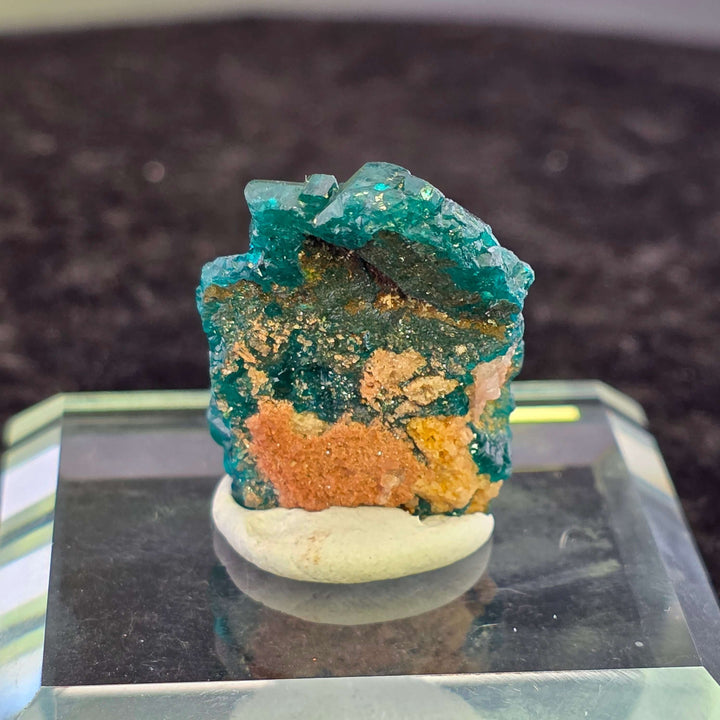 Dioptase specimen from Congo with striking emerald green color, well-formed crystals, and good luster on display.