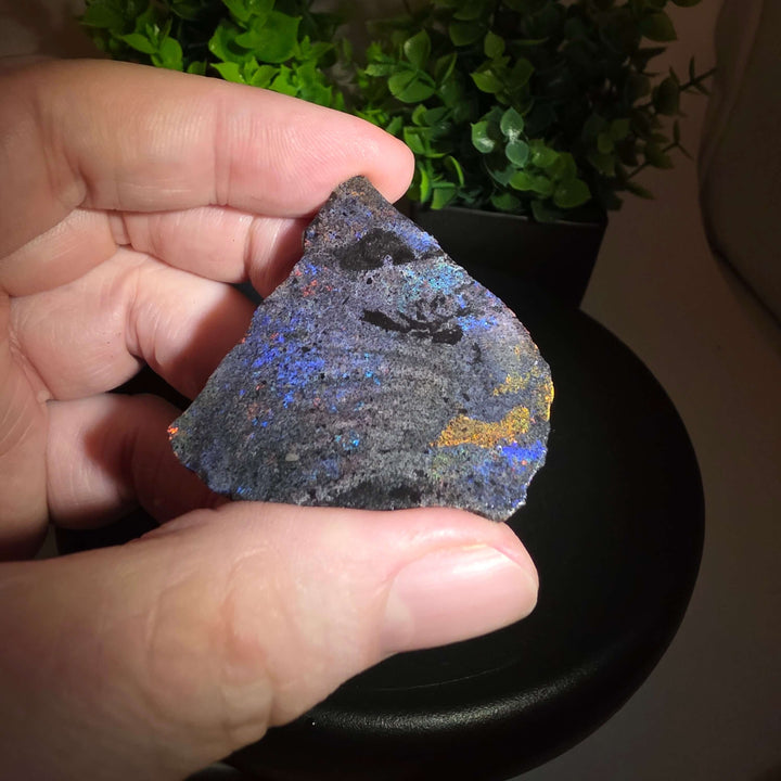 Person holding an Andamooka Matrix Opal Slab Slice showing vibrant colors against a green background.