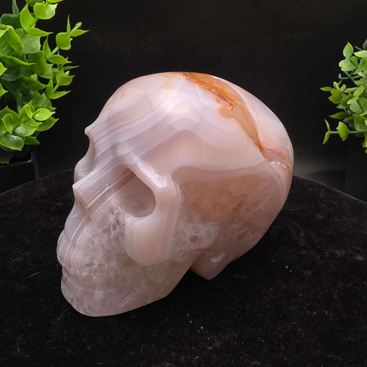 White Banded Agate Skull Carving - 3.5 Inch, hand-carved with distinct geological patterns and unique natural bands.
