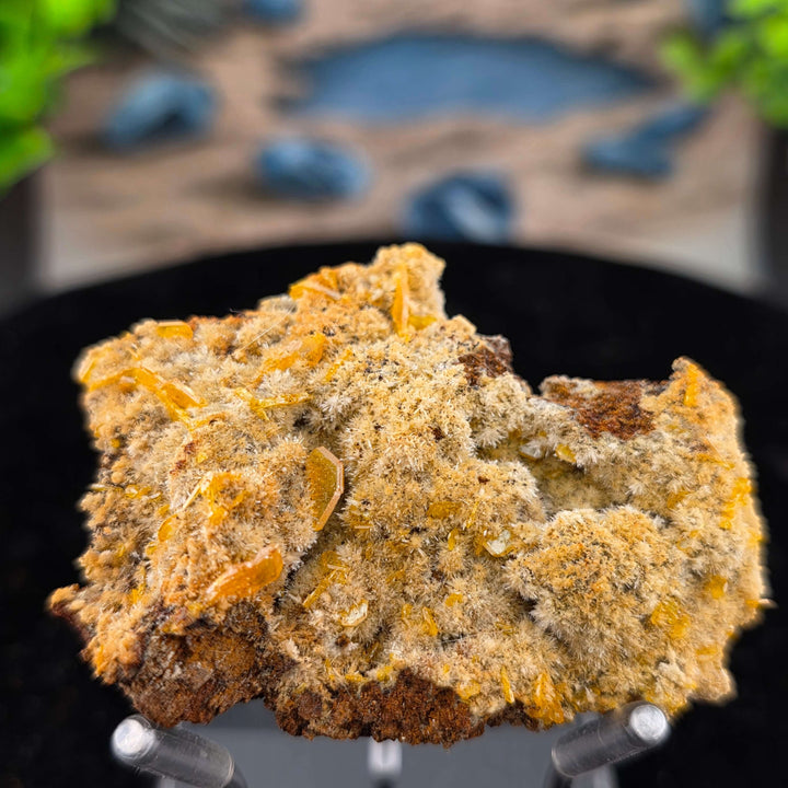 Wulfenite - Erupción-Ahumada Mine, Mexico