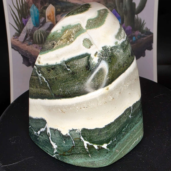 Polished Green Zebra Jasper freeform with green, gray, and white patterns, showcasing natural beauty and smooth texture.