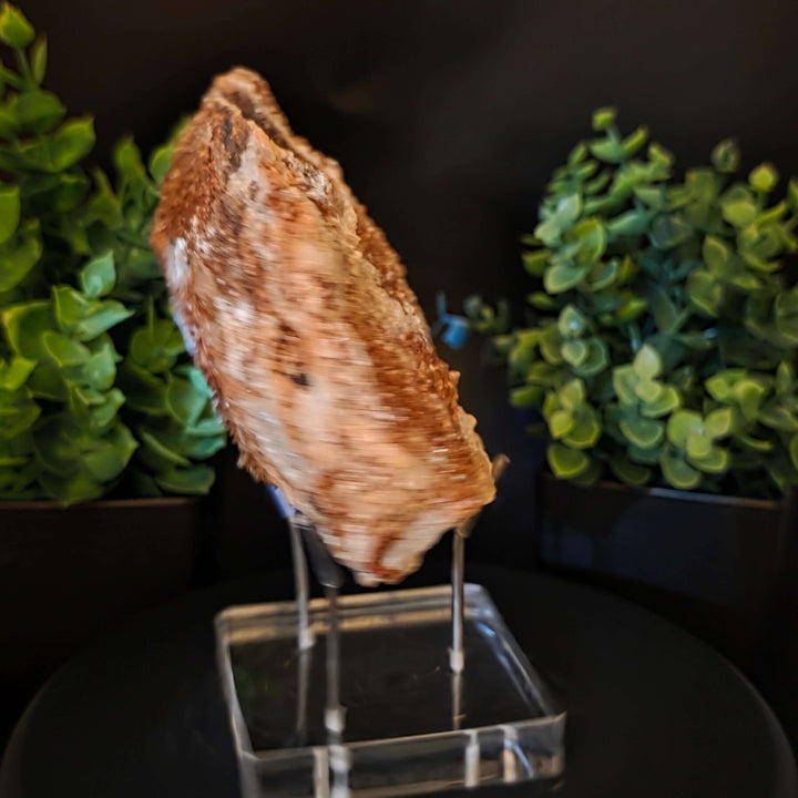 Red Hyalite Opal Specimen Mix from Ojuela Mine