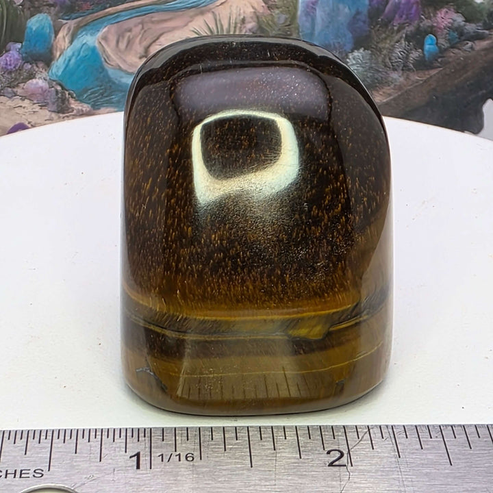 Polished Tiger's Eye freeform with golden hues and chatoyancy effect, showcasing shimmering bands.
