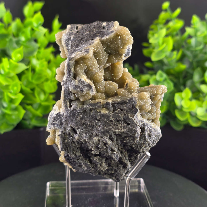 Smithsonite Specimen from Ojuela Mine