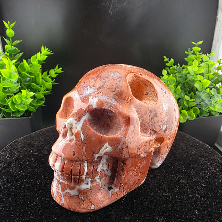 Cotton Candy Agate Skull Carving - 5in