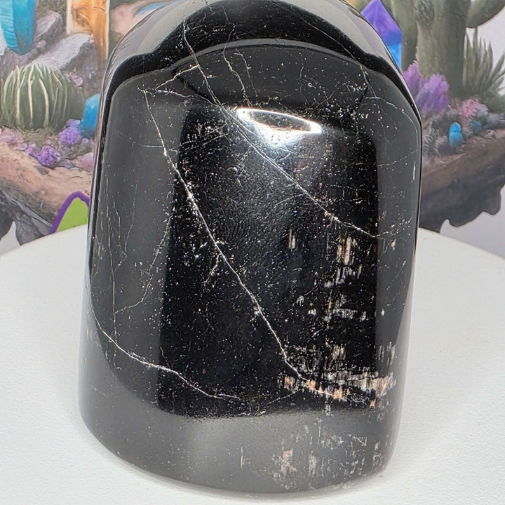 Polished Black Tourmaline Freeform