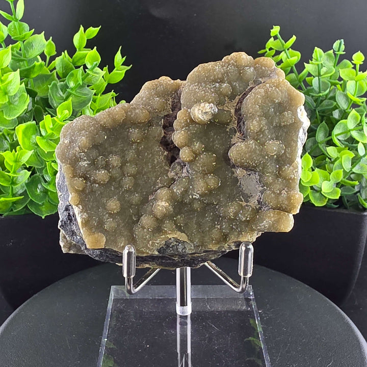 Smithsonite Specimen from Ojuela Mine