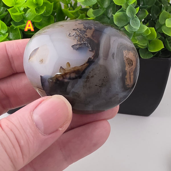 Dendritic Agate Palm Stone Pebbles - Madagascar