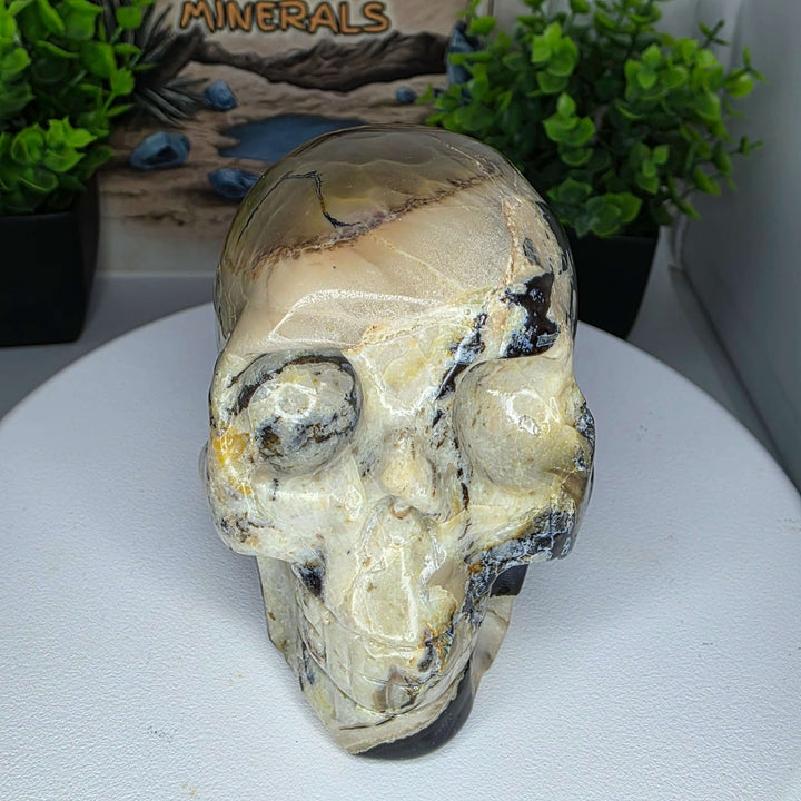 Volcano Agate Skull Carving - 3.25 inch