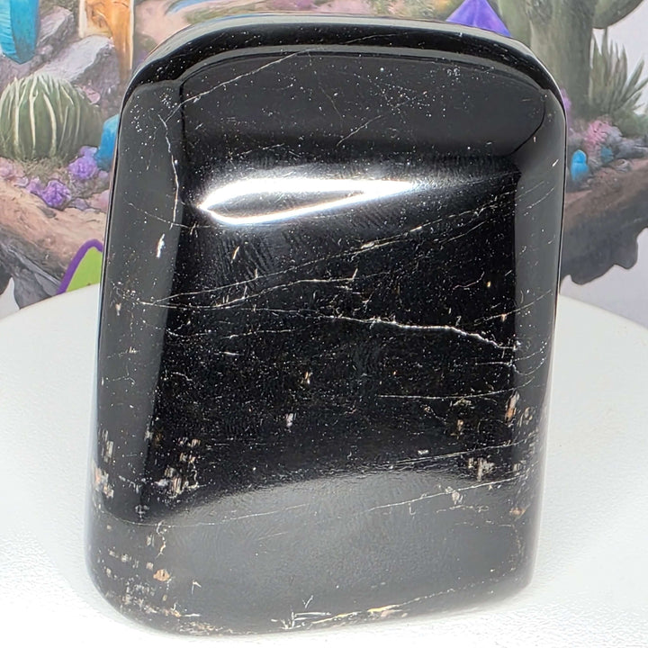 Polished Black Tourmaline Freeform