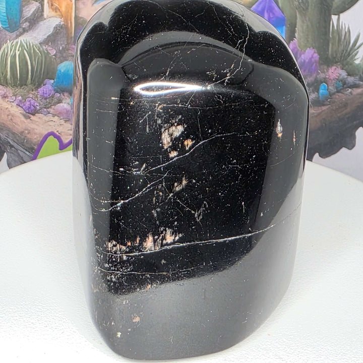 Polished Black Tourmaline Freeform