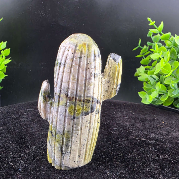 Saguaro Cactus Carving from Peru