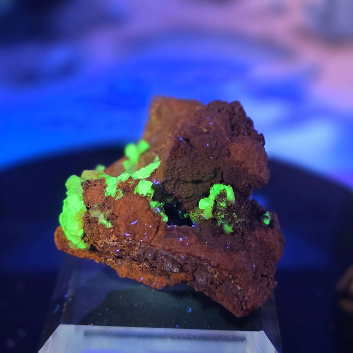 Vibrant Adamite Specimen from Ojuéla Mine exhibiting glowing green crystal formations.