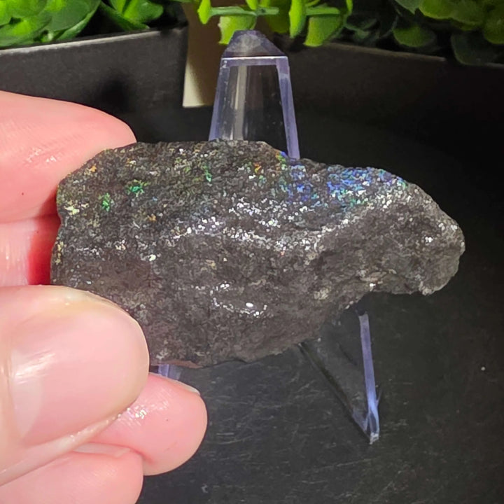 Andamooka Matrix Opal Slab Slice - 108 Carat