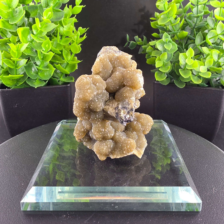 Smithsonite Specimen from Ojuela Mine