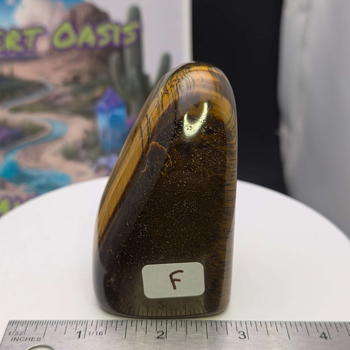Polished Tiger's Eye freeform showcasing golden chatoyancy, smooth surface, and unique golden bands.