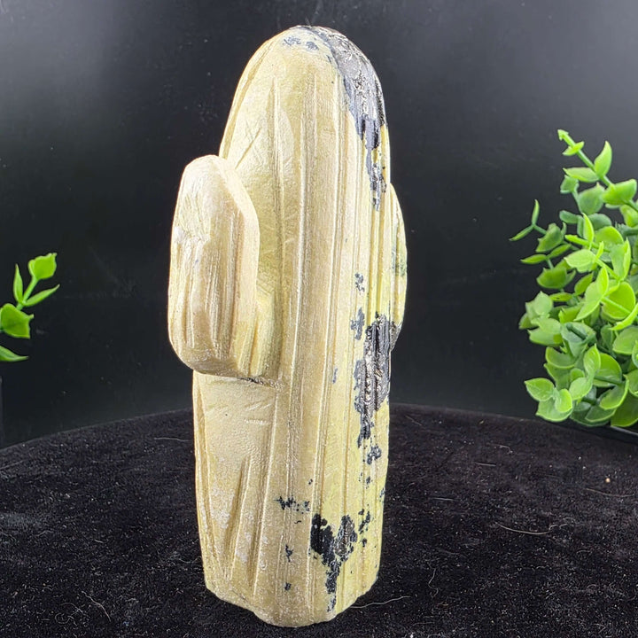 Saguaro Cactus Carving from Peru