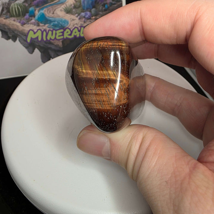 Hand holding a polished Red Tiger's Eye freeform showcasing its reddish-brown hues and unique chatoyancy.