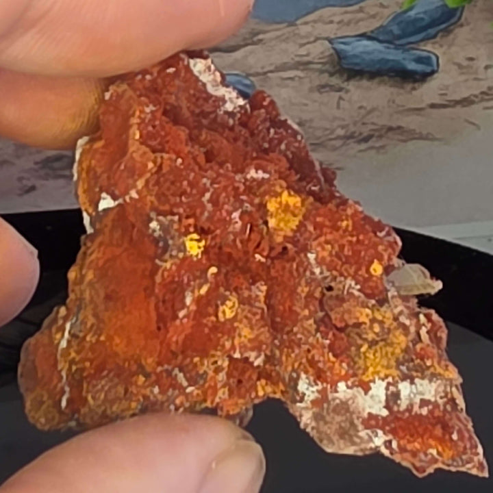 Wulfenite - Erupción-Ahumada Mine, Mexico