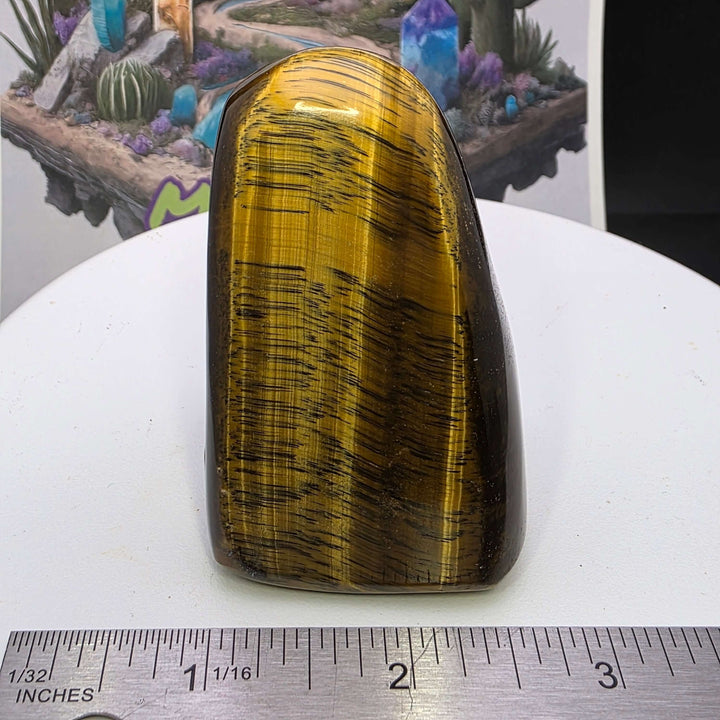 Polished Tiger's Eye freeform stone showcasing vibrant golden color and chatoyancy, highlighting its smooth surface.