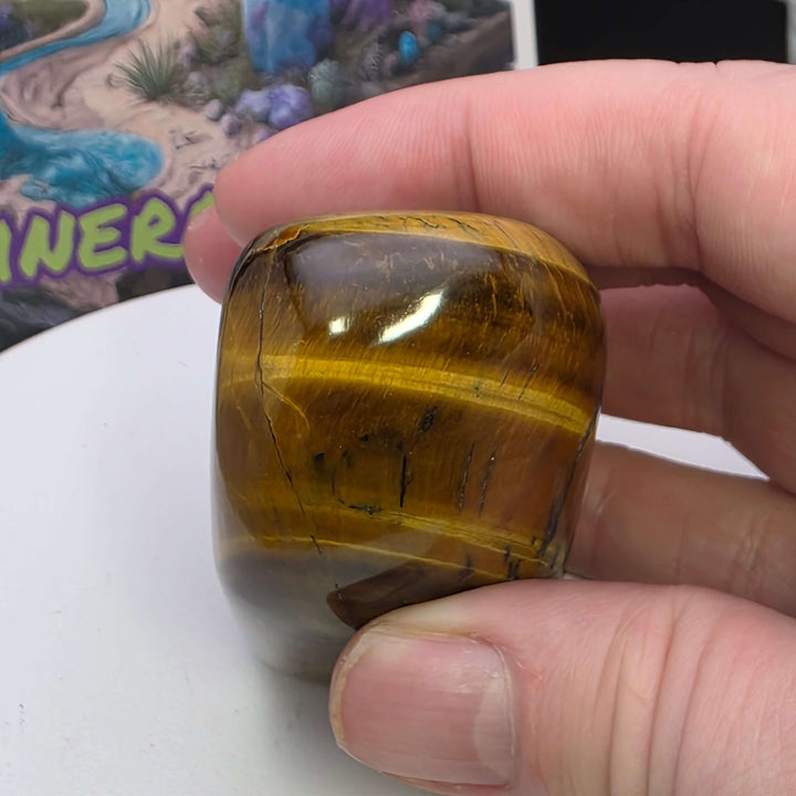 Polished Tiger's Eye freeform showing golden chatoyancy and smooth texture in hand.