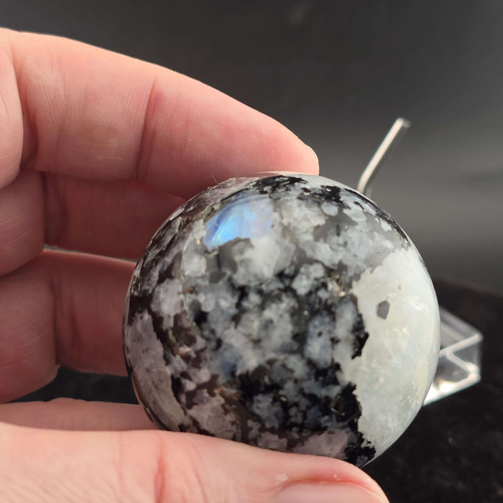 Polished Rainbow Moonstone Sphere - 49mm
