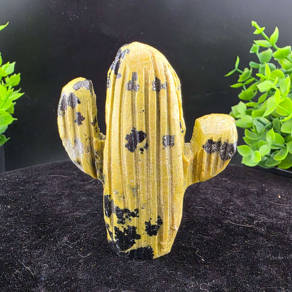 Saguaro Cactus Carving from Peru