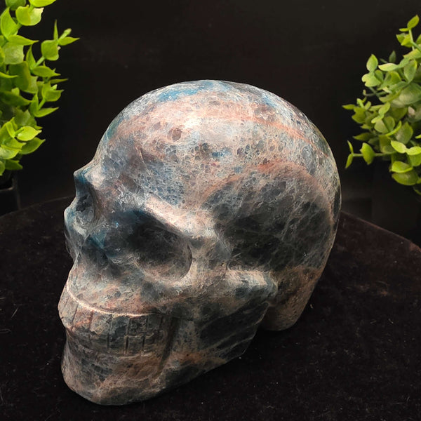 Blue Apatite Crystal Skull Carving - 4 inch, vibrant skull-shaped decorative crystal.