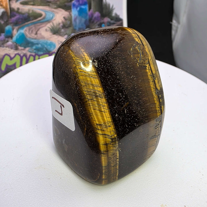 Polished Tiger's Eye freeform with golden chatoyancy; smooth texture and vibrant colors for display or collection.