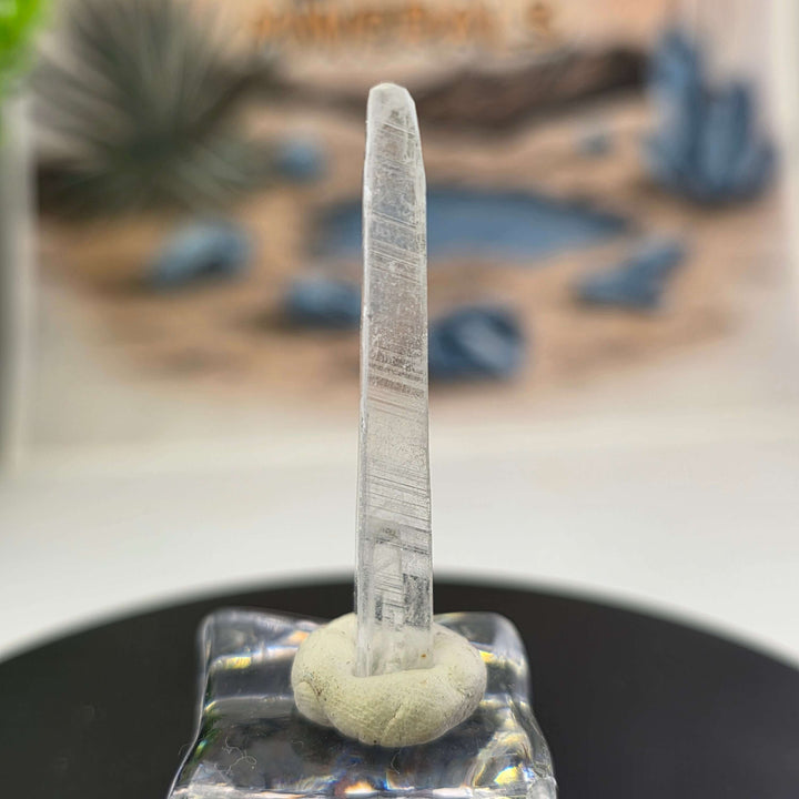 Nifontovite Specimen - Rey y Reina Mine Charcas Mexico displayed on a pedestal with a mineral backdrop.